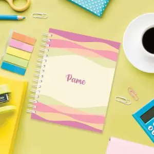 Notebook | Modelo Lyra