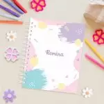 Notebook | Modelo Nia